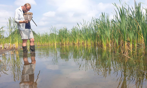 Rådgivning i biodiversitet